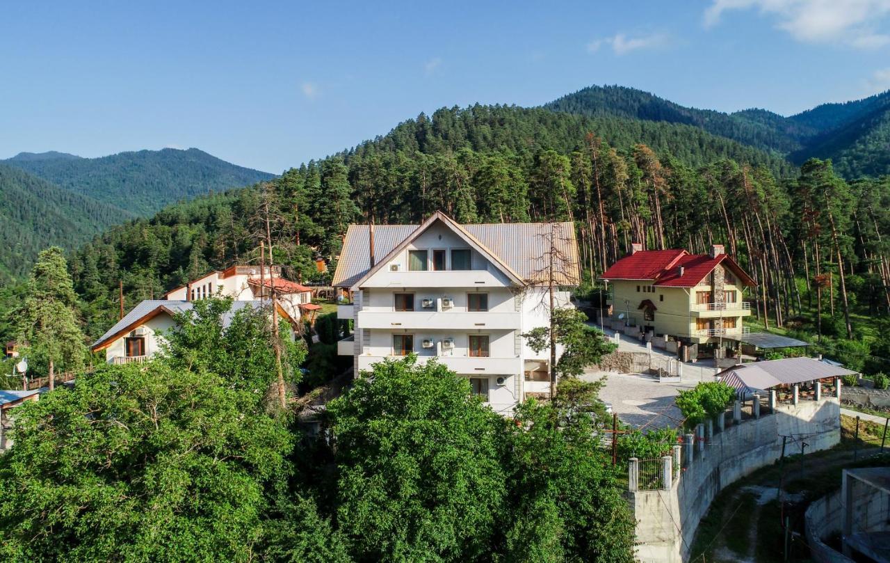 Natali Hotel Borjomi Exterior foto