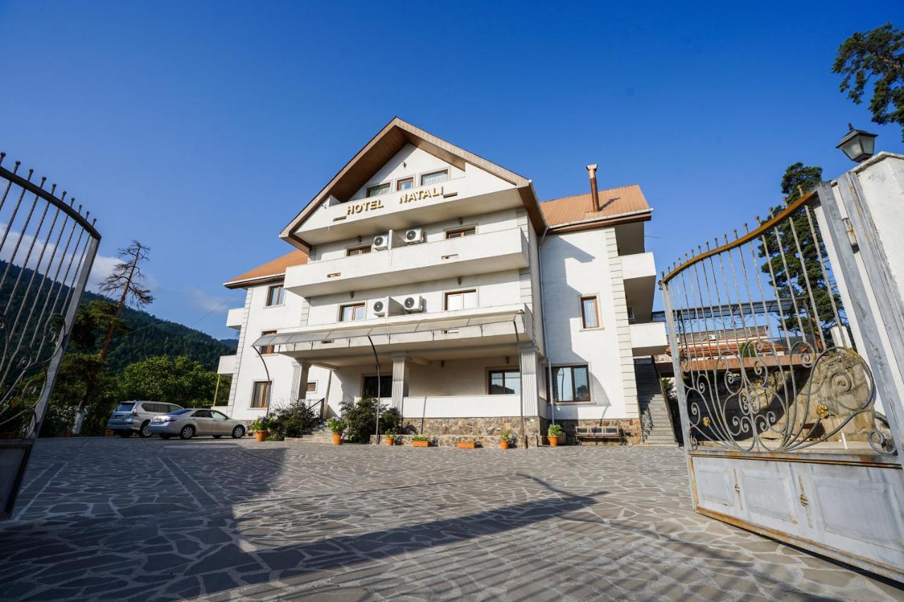 Natali Hotel Borjomi Exterior foto