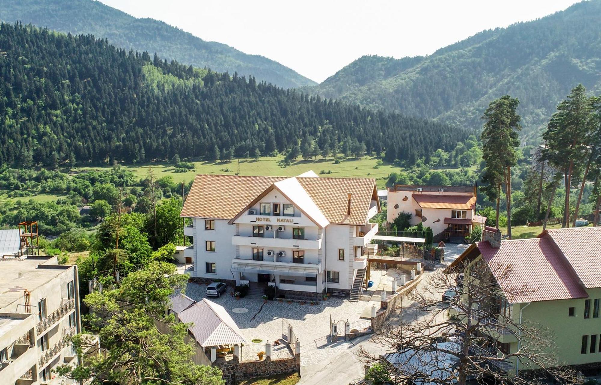 Natali Hotel Borjomi Exterior foto